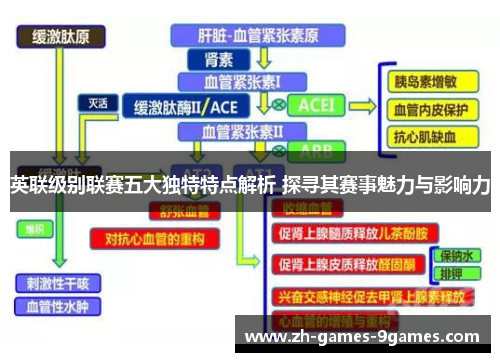 英联级别联赛五大独特特点解析 探寻其赛事魅力与影响力