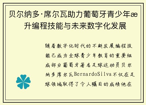 贝尔纳多·席尔瓦助力葡萄牙青少年提升编程技能与未来数字化发展